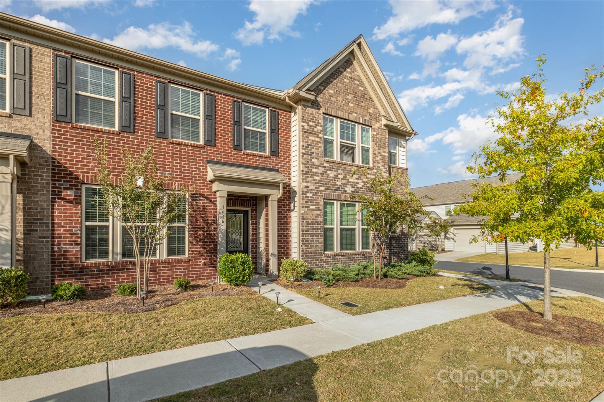 3436 Scottish Fern Lane 172