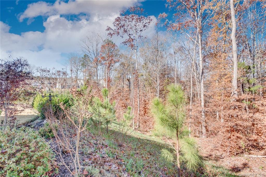 Carolina Reserve - Residential