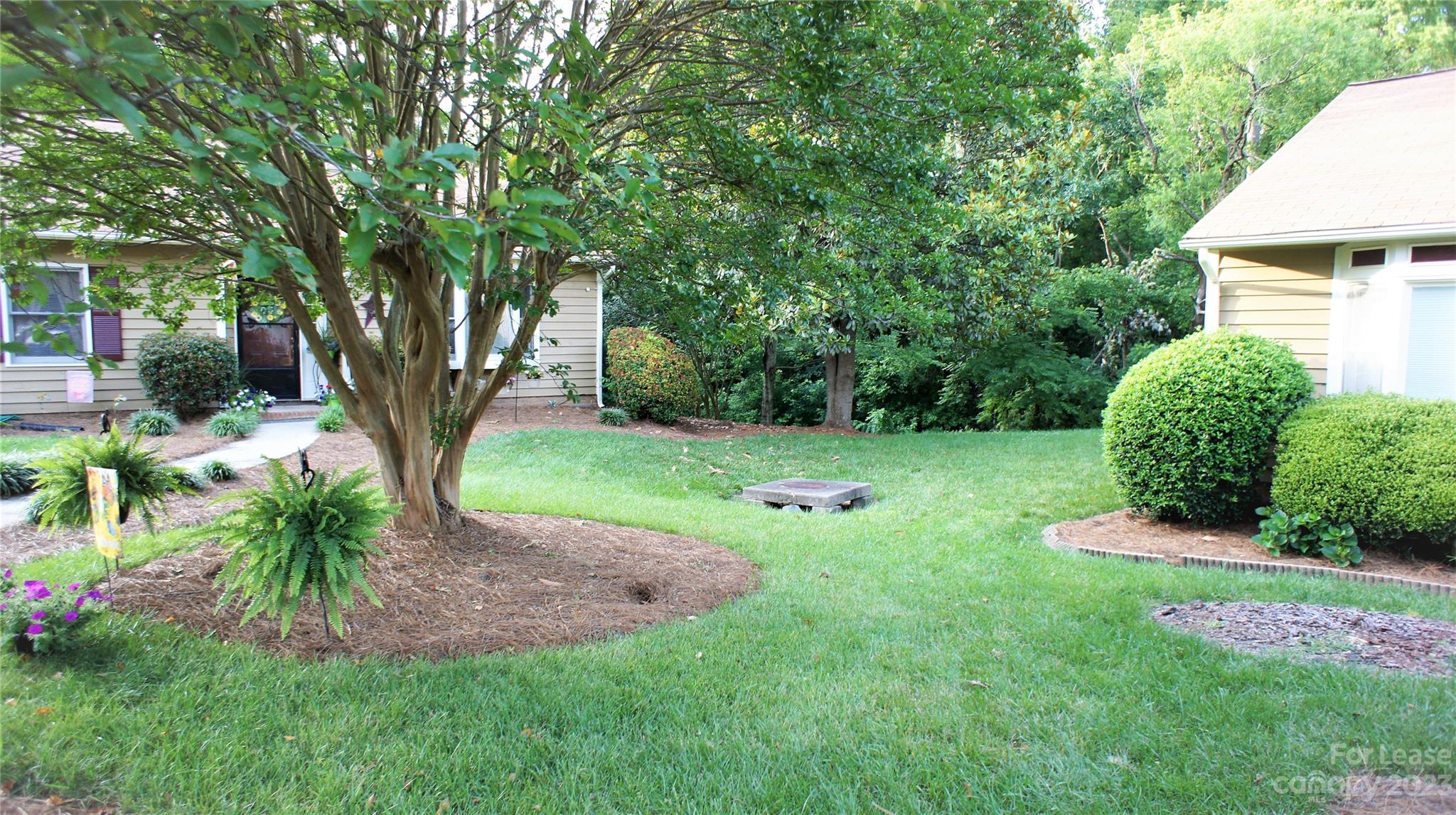 None - Residential Lease