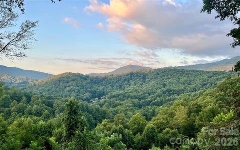 Photo of 346 Appaloosa Trail, Burnsville, NC 28714 (MLS # 4312103)