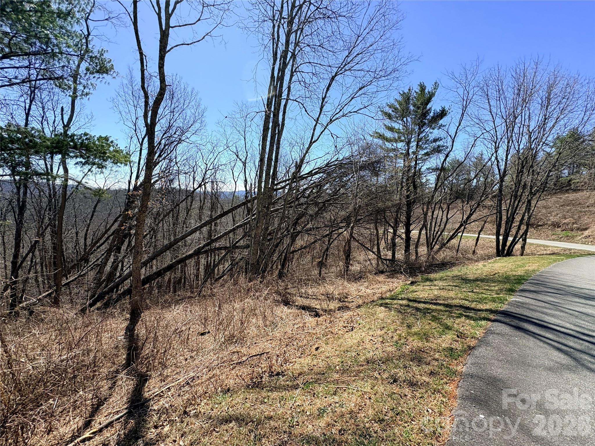 Linville Heights - Land