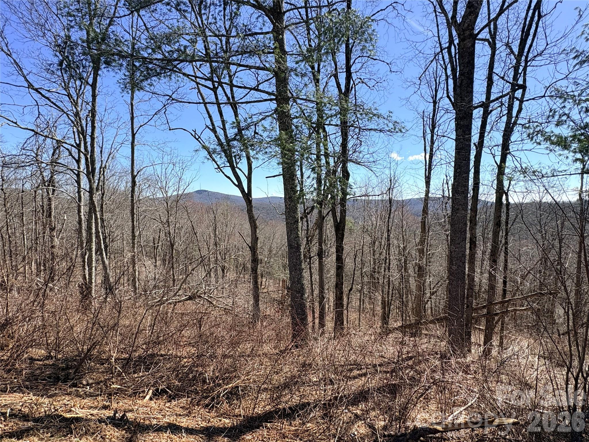 Linville Heights - Land