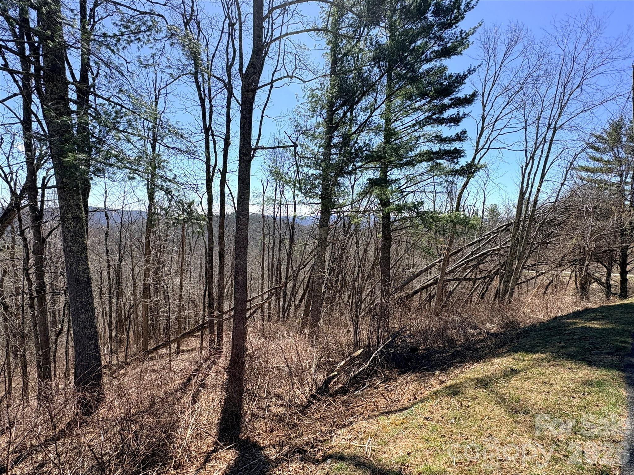 Linville Heights - Land