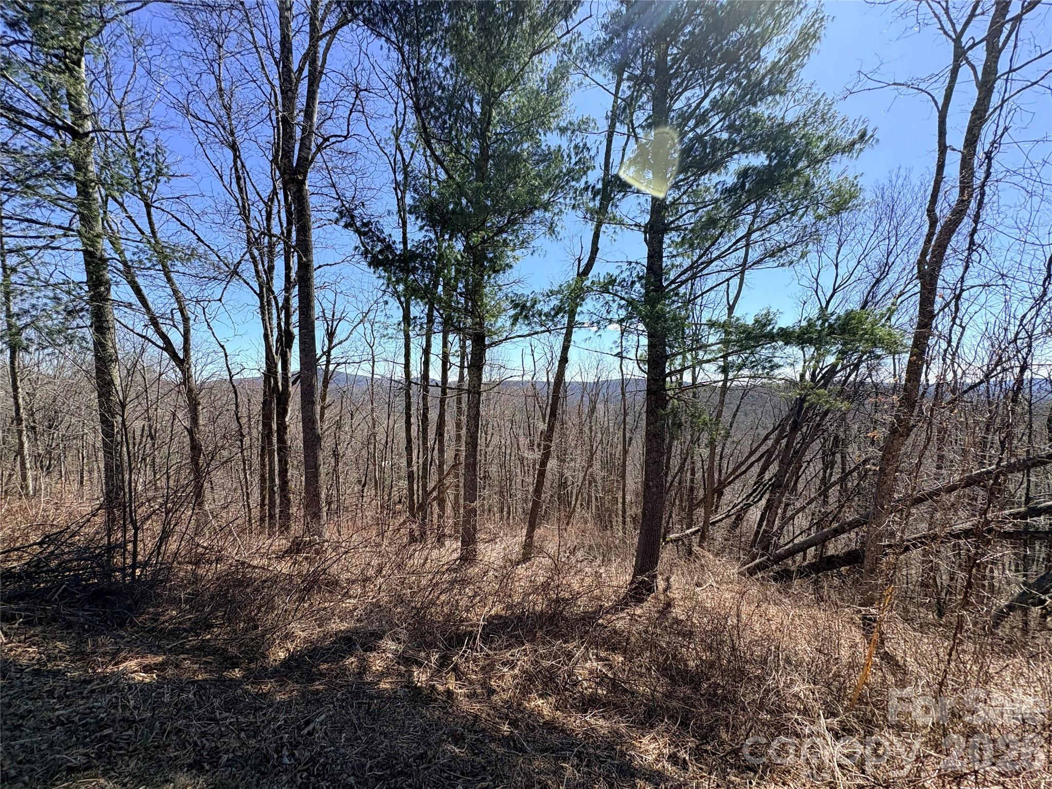 Linville Heights - Land