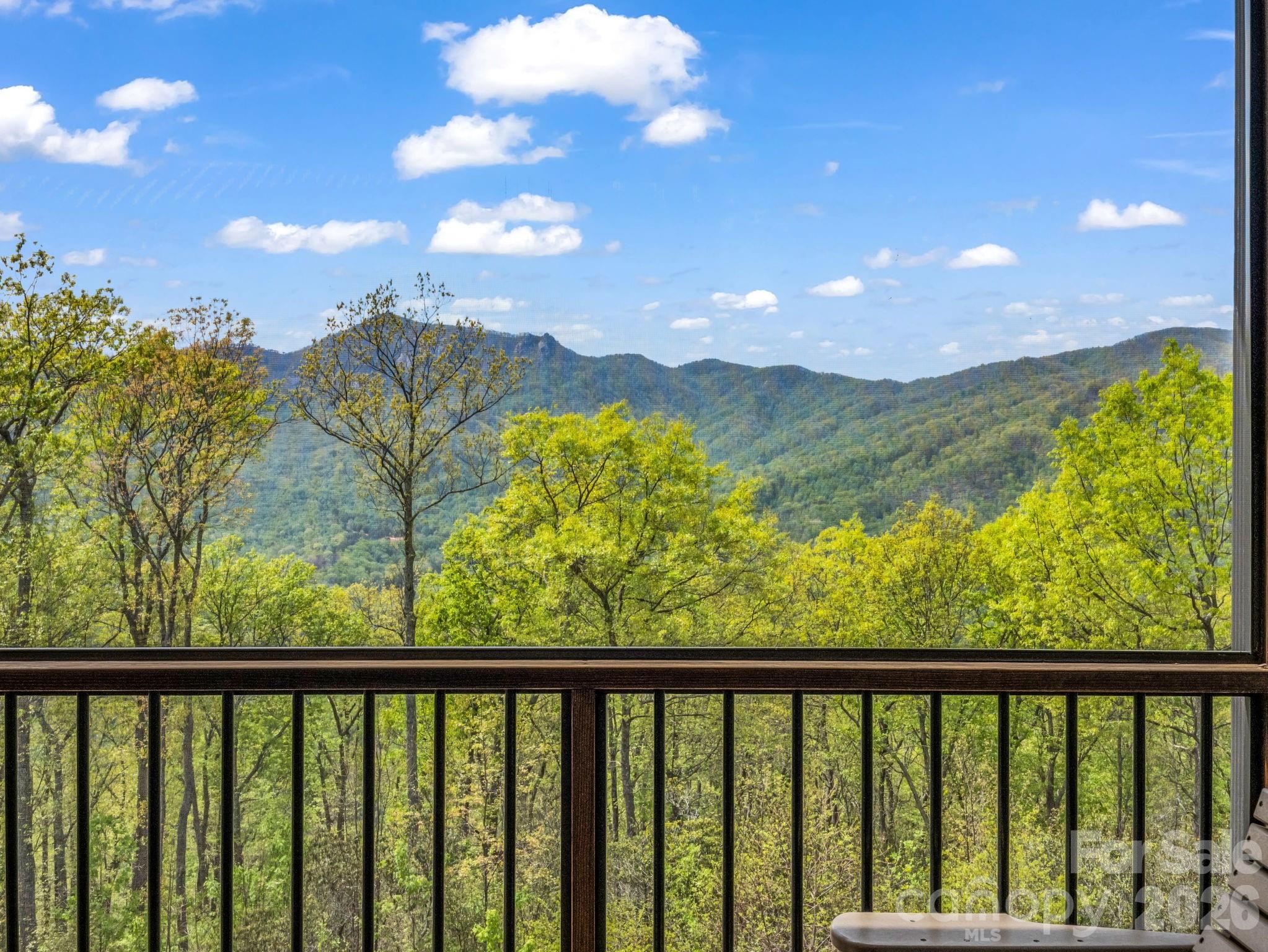 Rumbling Bald on Lake Lure - Residential