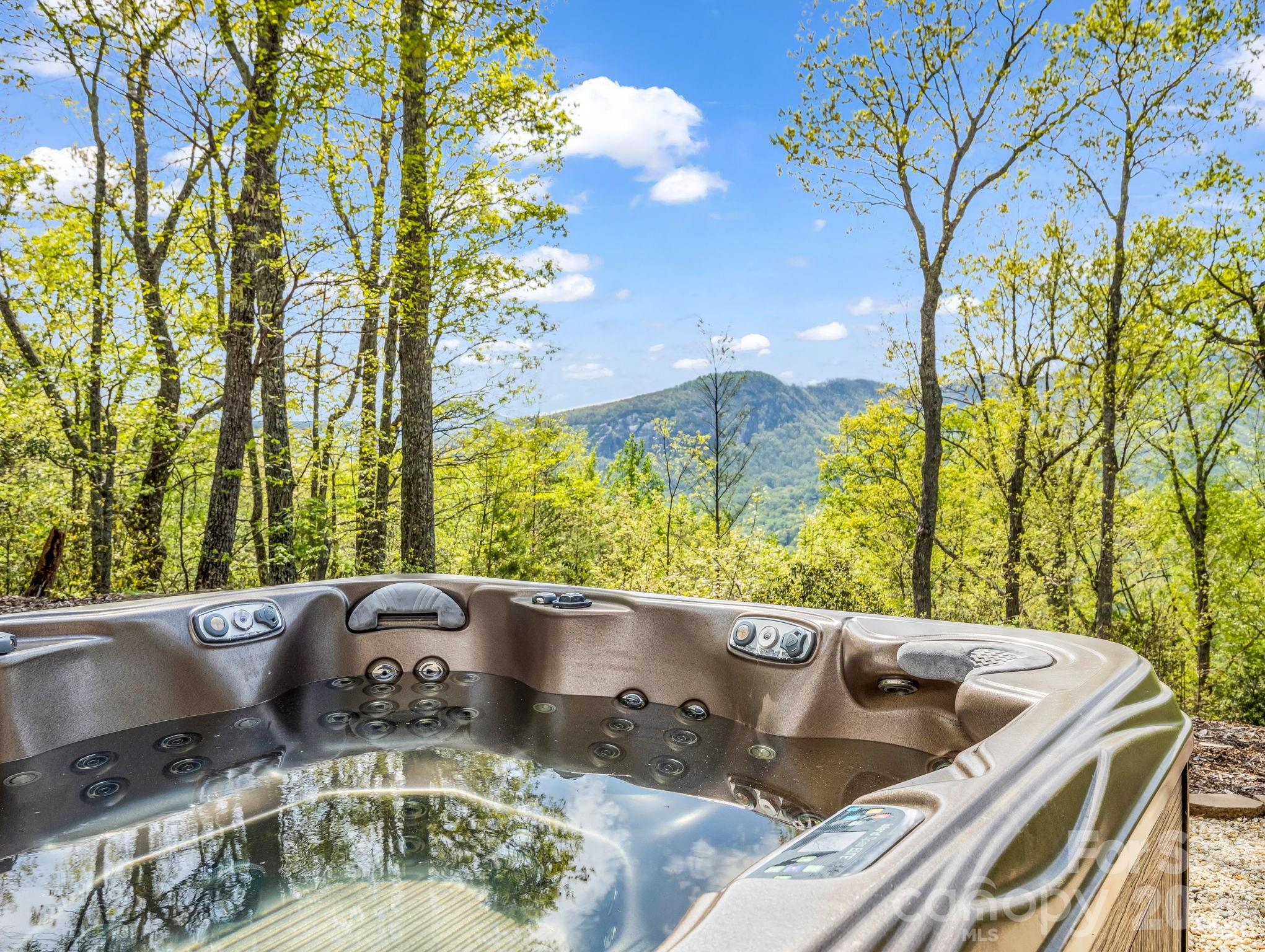 Rumbling Bald on Lake Lure - Residential