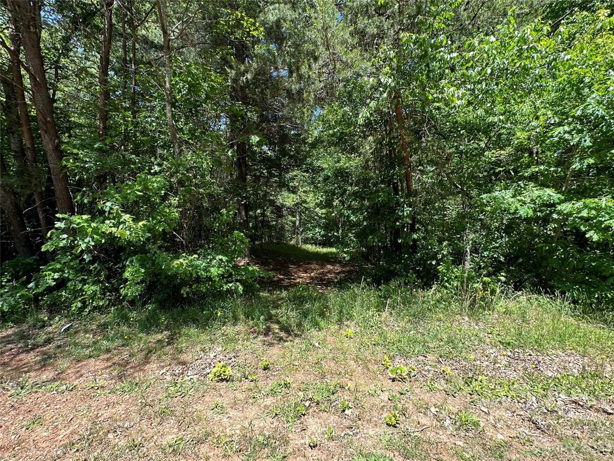Two side-by-side, wooded, residential, building lots for sale, bundled together for a total of 1.16 acres.