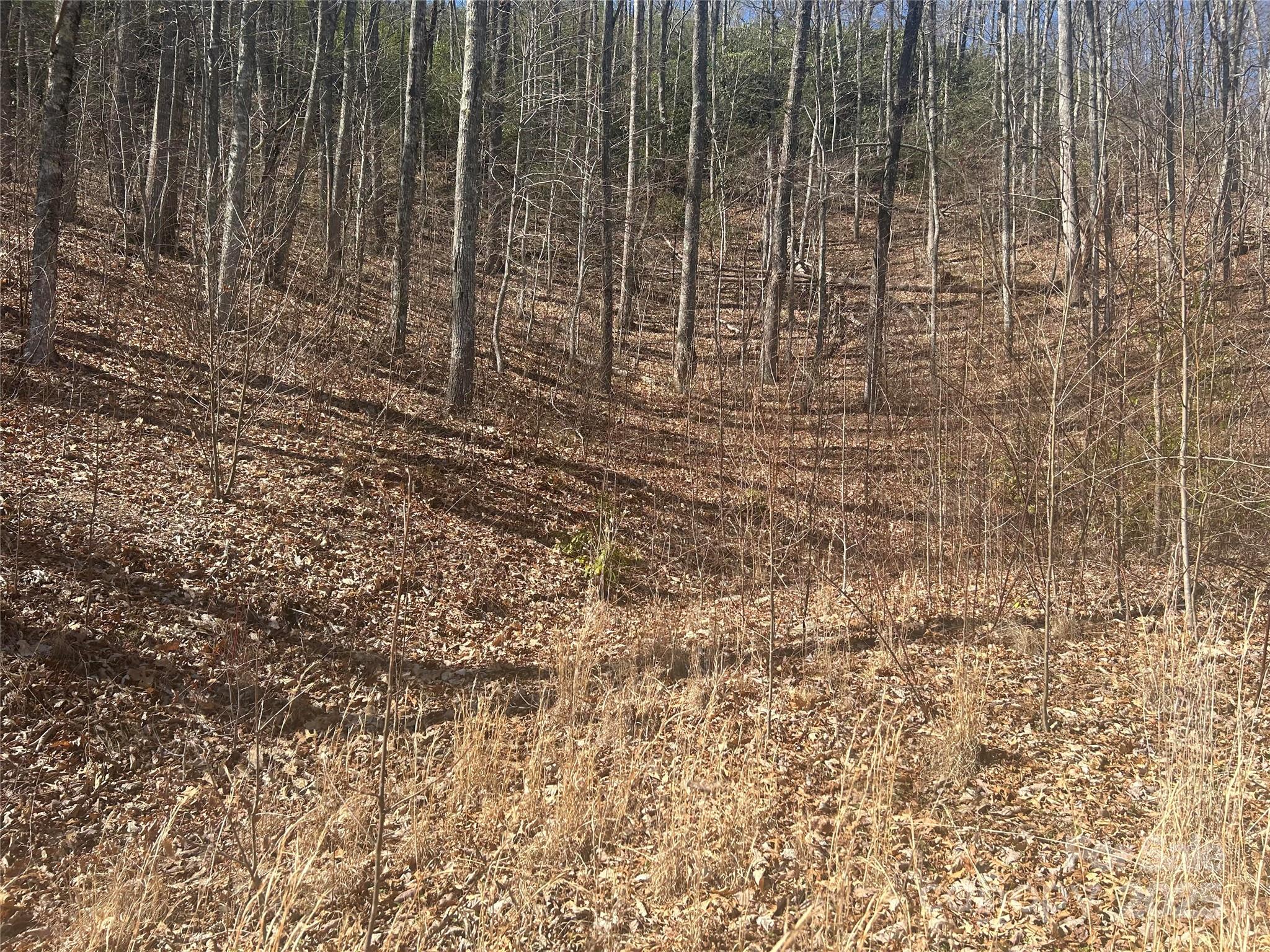 Alarka Highlands - Land