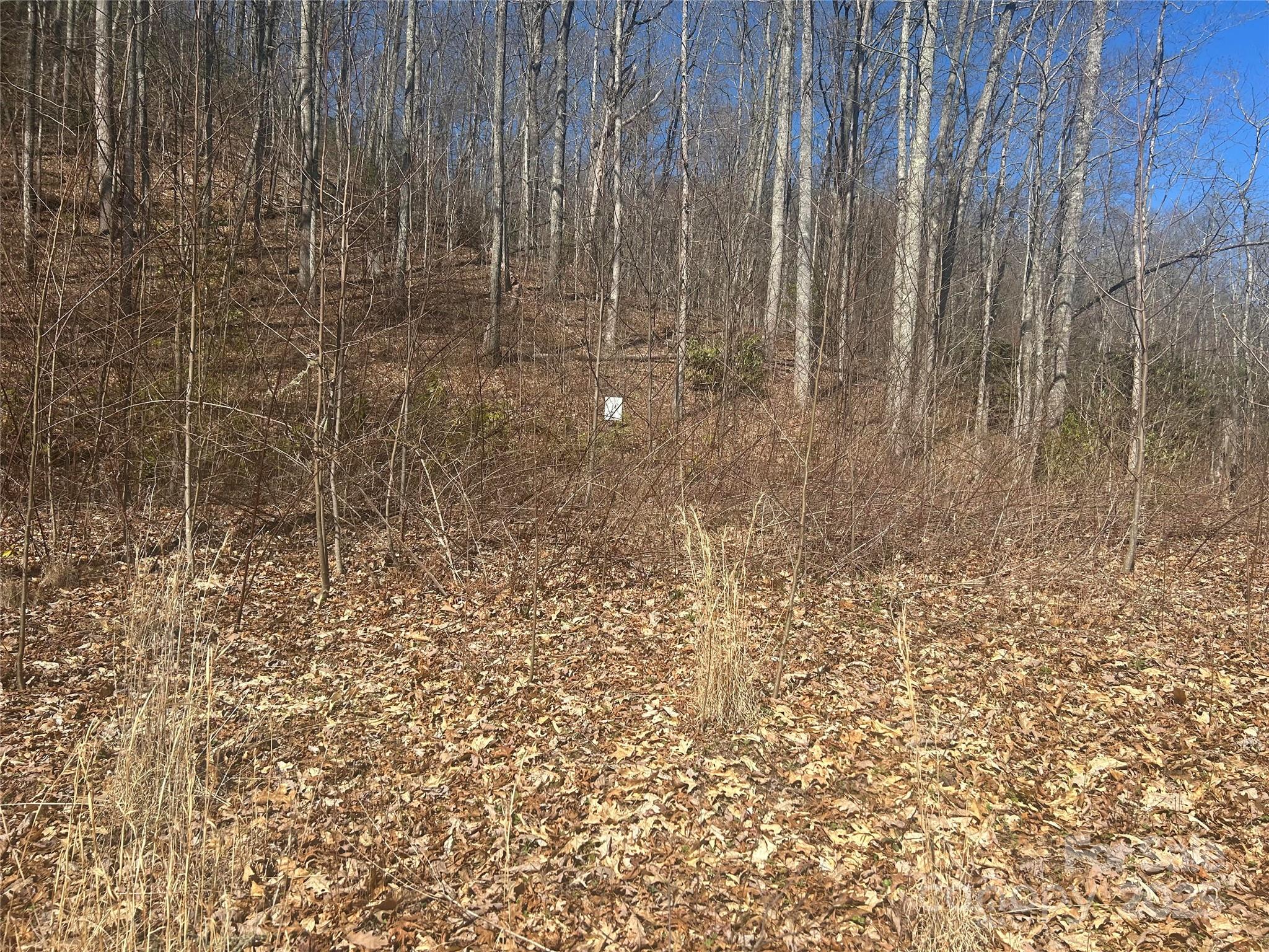 Alarka Highlands - Land