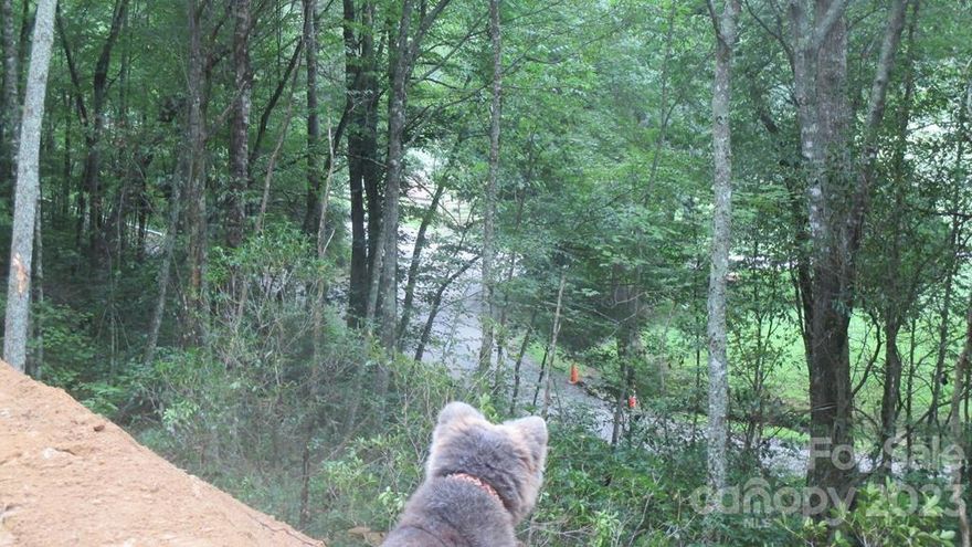 With the addition of a new driveway, plus more acreage, this has become a nice lot. Close to everything, easy access, with a nice view over the lower pasture. Beautiful, friendly, growing community adjoining the GSMNP. Trail head is Thomas Divide. 10 mins from Bryson. Property has wide easy gravel roads, accessible year long. Fantastic views as one enjoys the changing seasons. Spectacular mountain laurel in spring, perennial flower beds and bulbs throughout. Original farm house at center of community equine facility, which has a new barn, arena and round pen, plus good parking. Hiking or riding trail surrounds the community pastures.