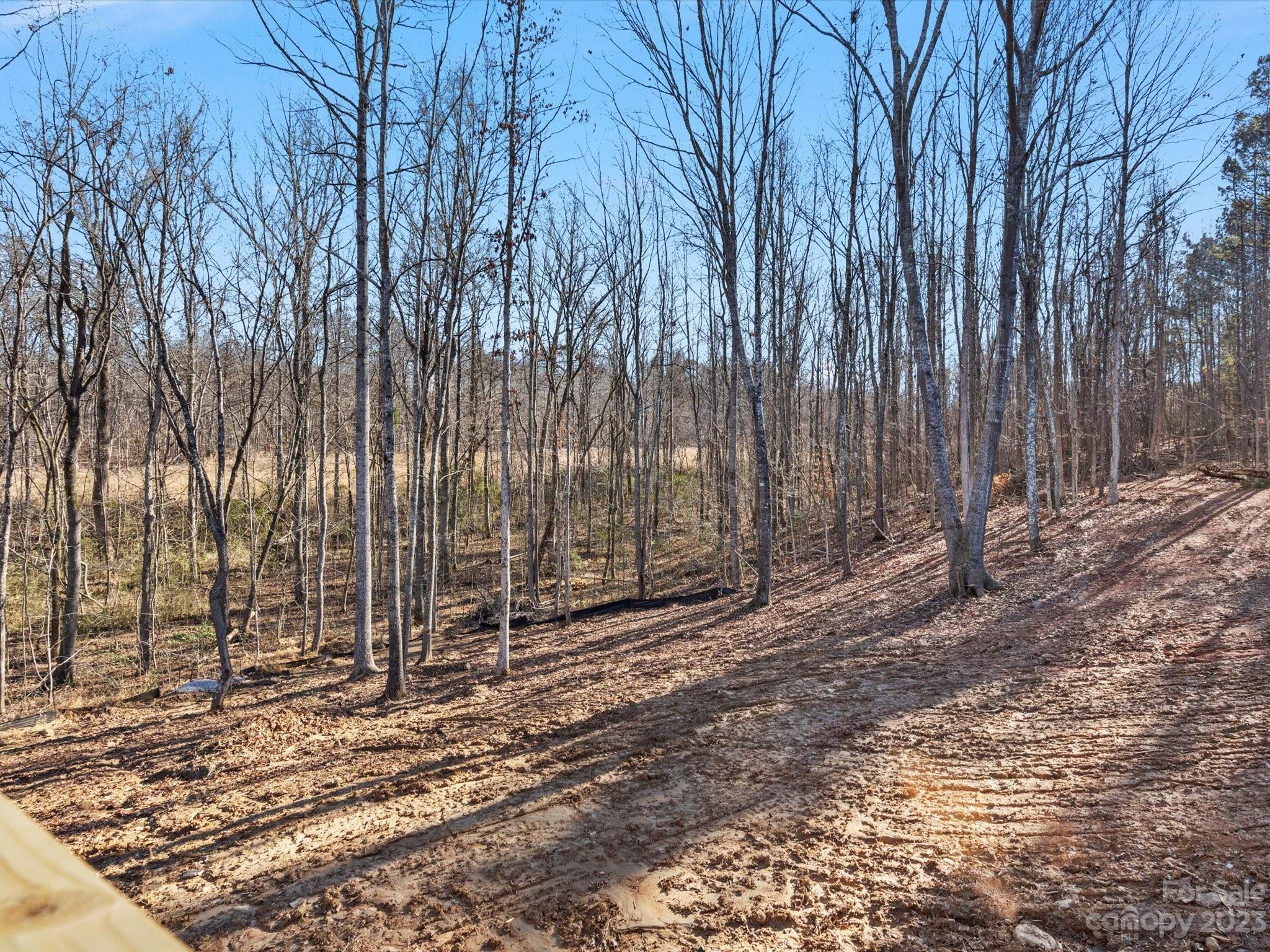 Magnolia - Residential