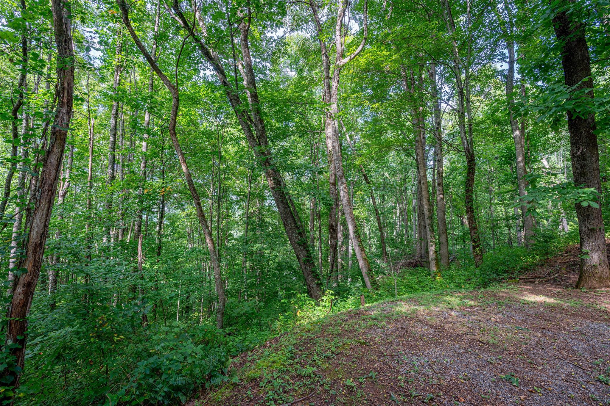 8 Resurrection Lane 8