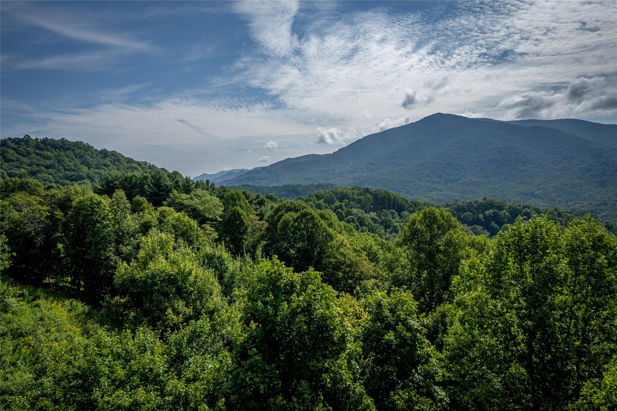 The Cottages at Rosemount - Land