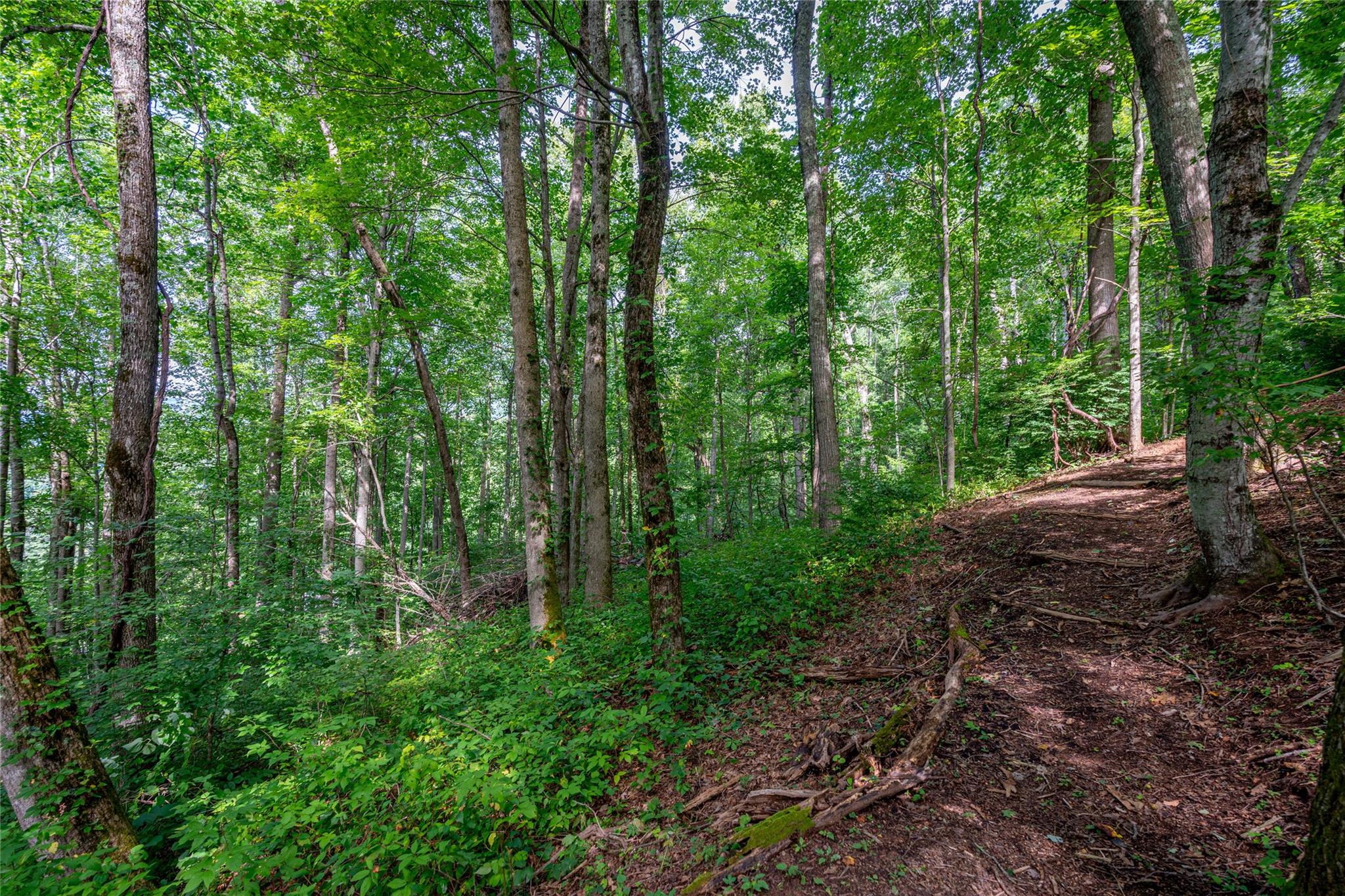 The Cottages at Rosemount - Land