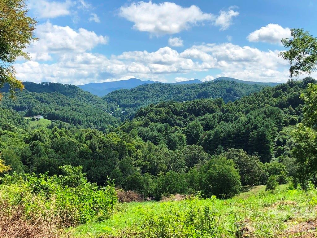 866 Georges Gap Road, Vilas, NC, 28692