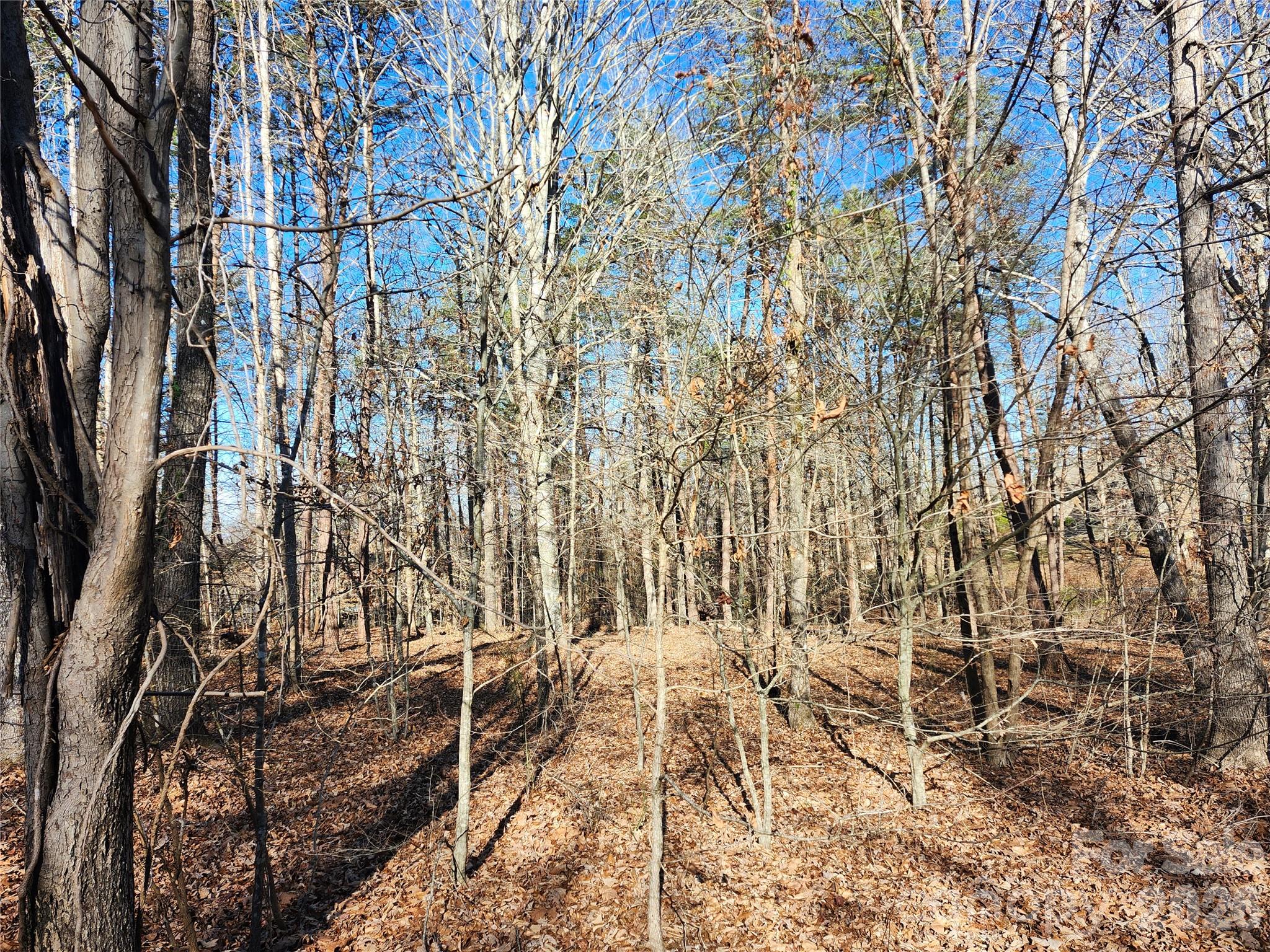 0000 Forest Ridge Road 22