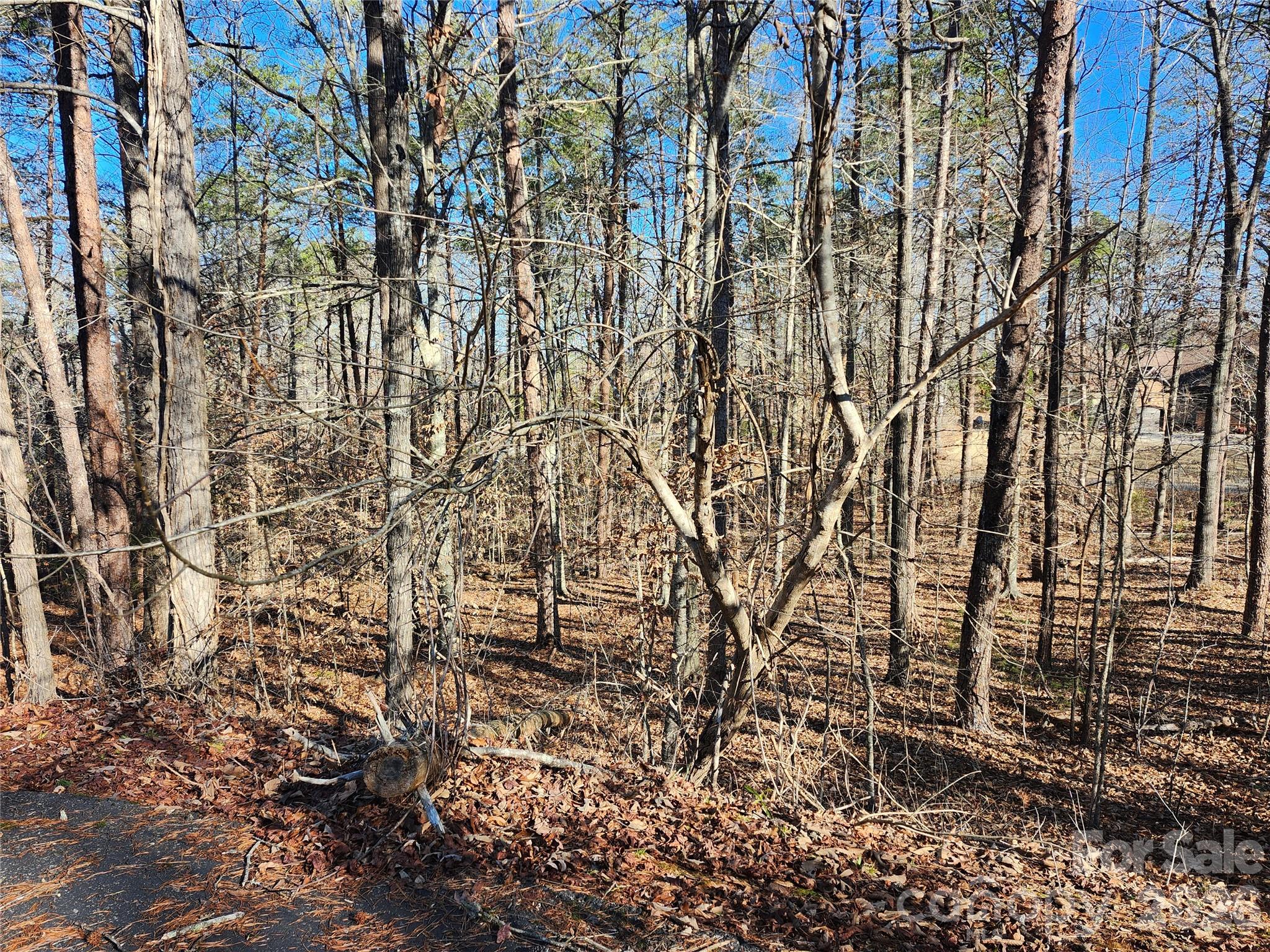 0000 Forest Ridge Road 22