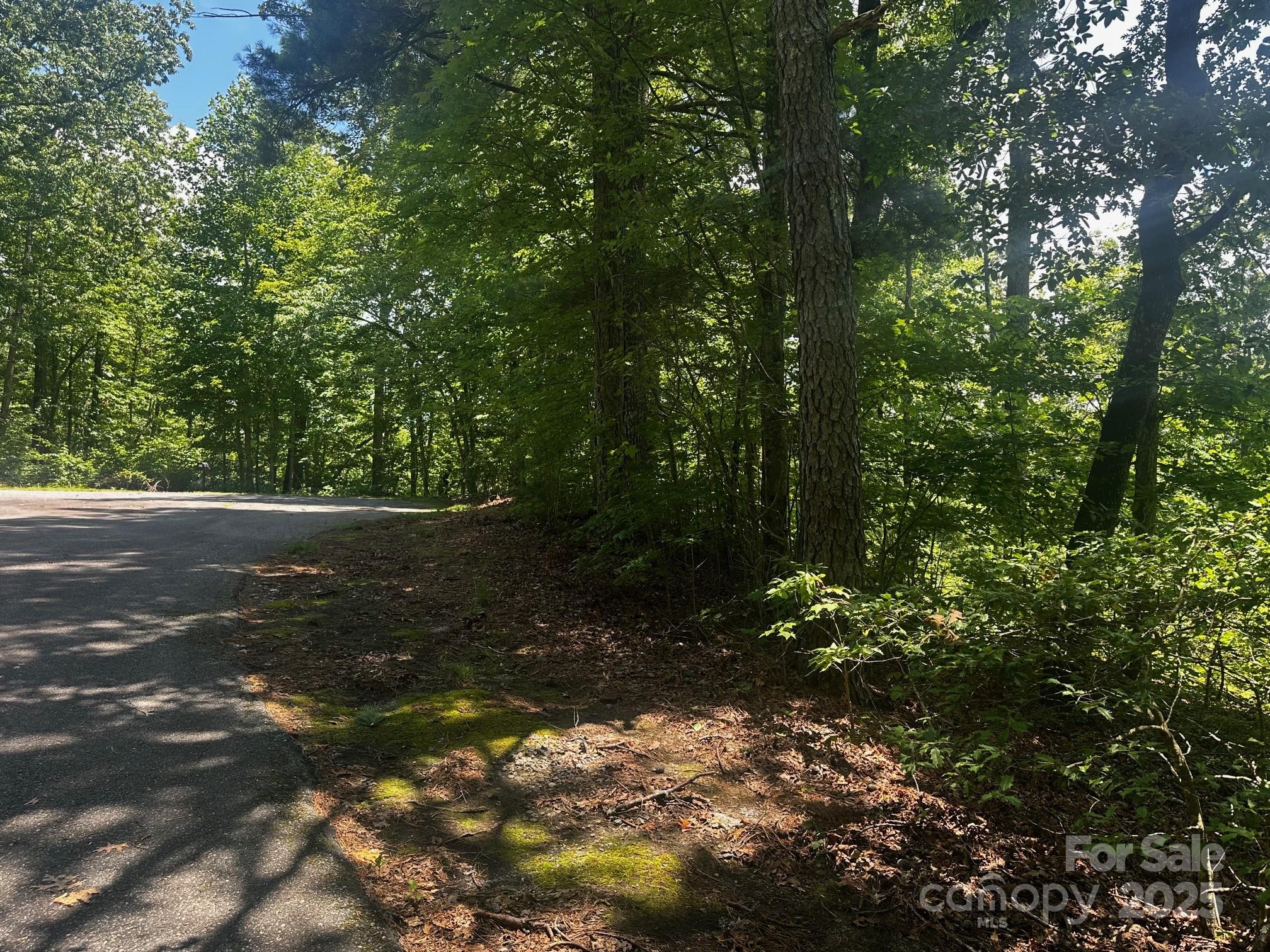 130 Brown Bear Ridge Trail
