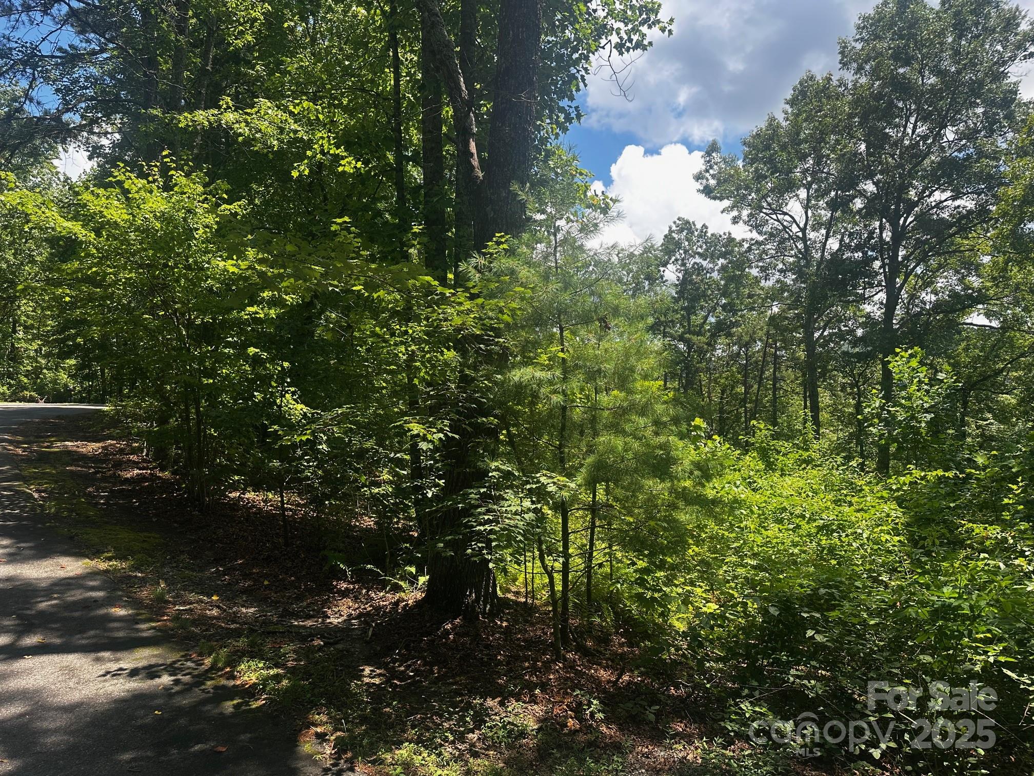 130 Brown Bear Ridge Trail