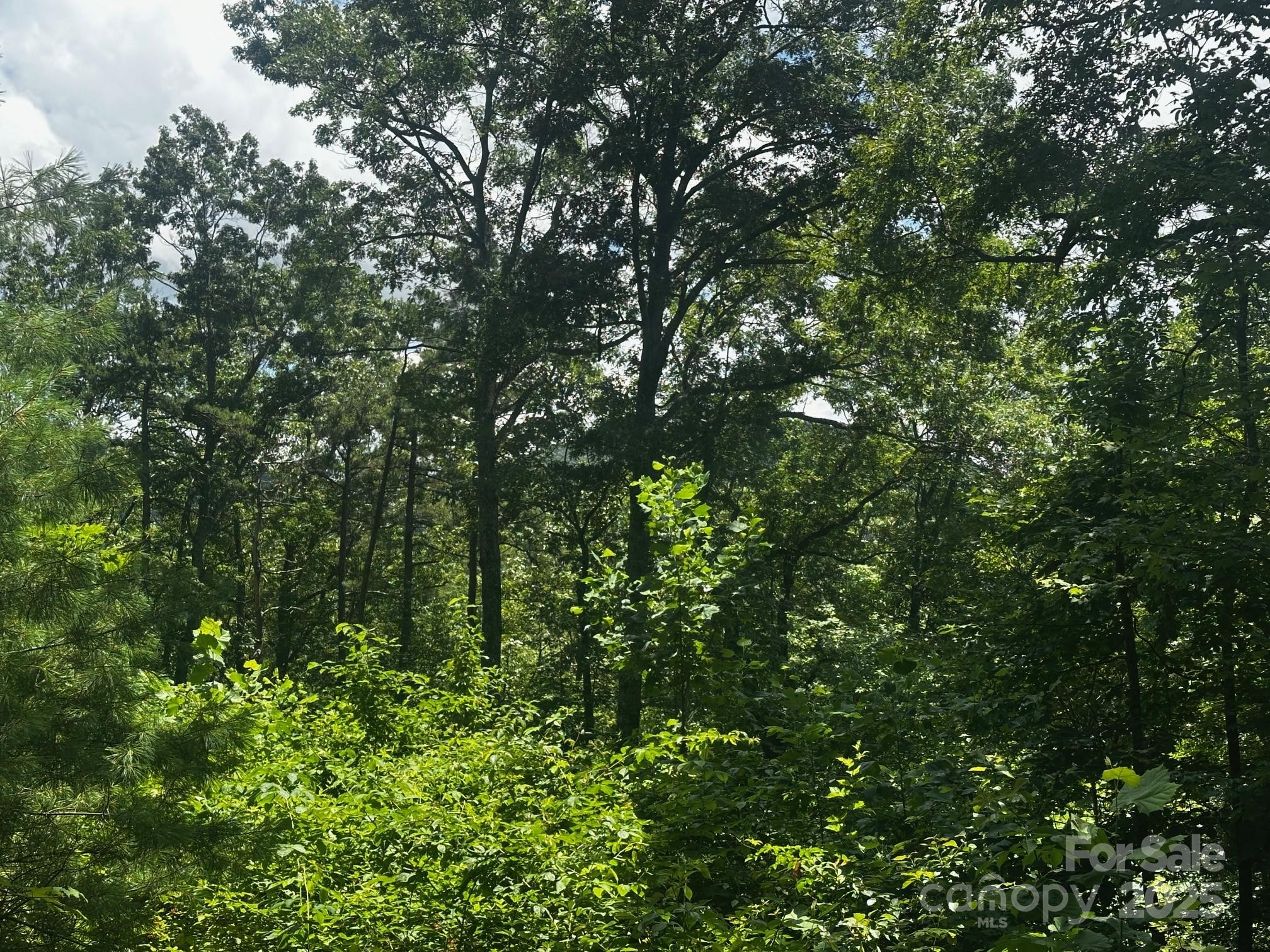 130 Brown Bear Ridge Trail