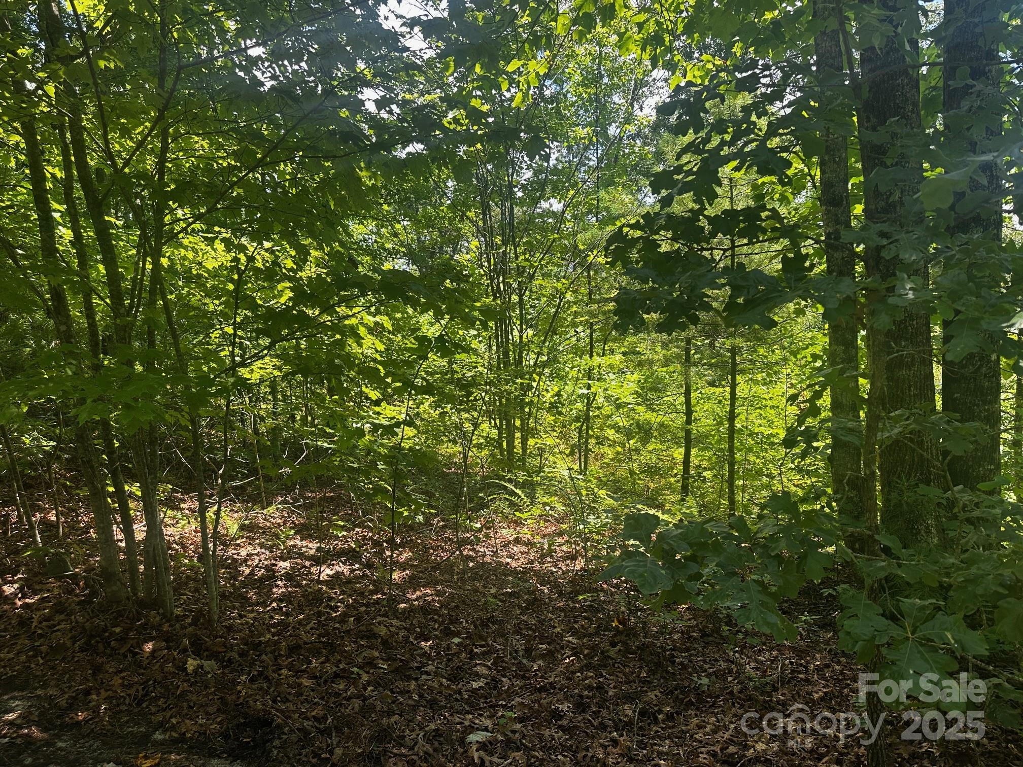130 Brown Bear Ridge Trail