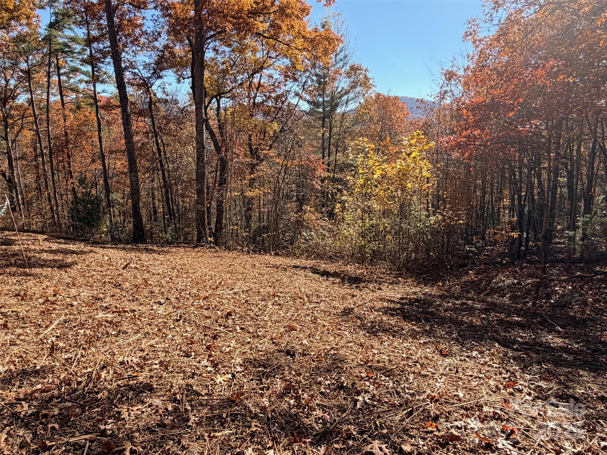 130 Brown Bear Ridge Trail