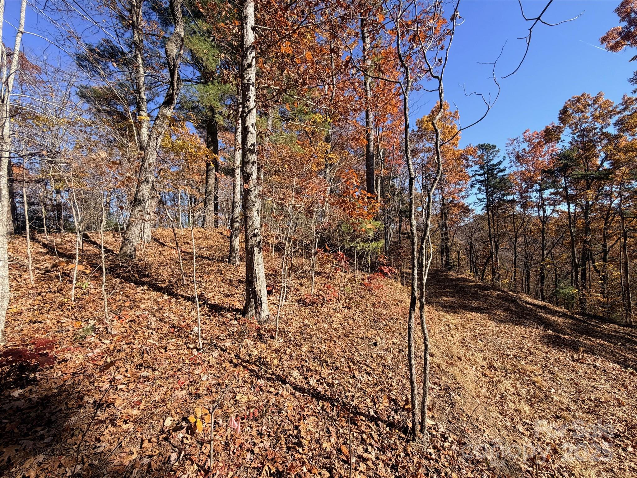 130 Brown Bear Ridge Trail