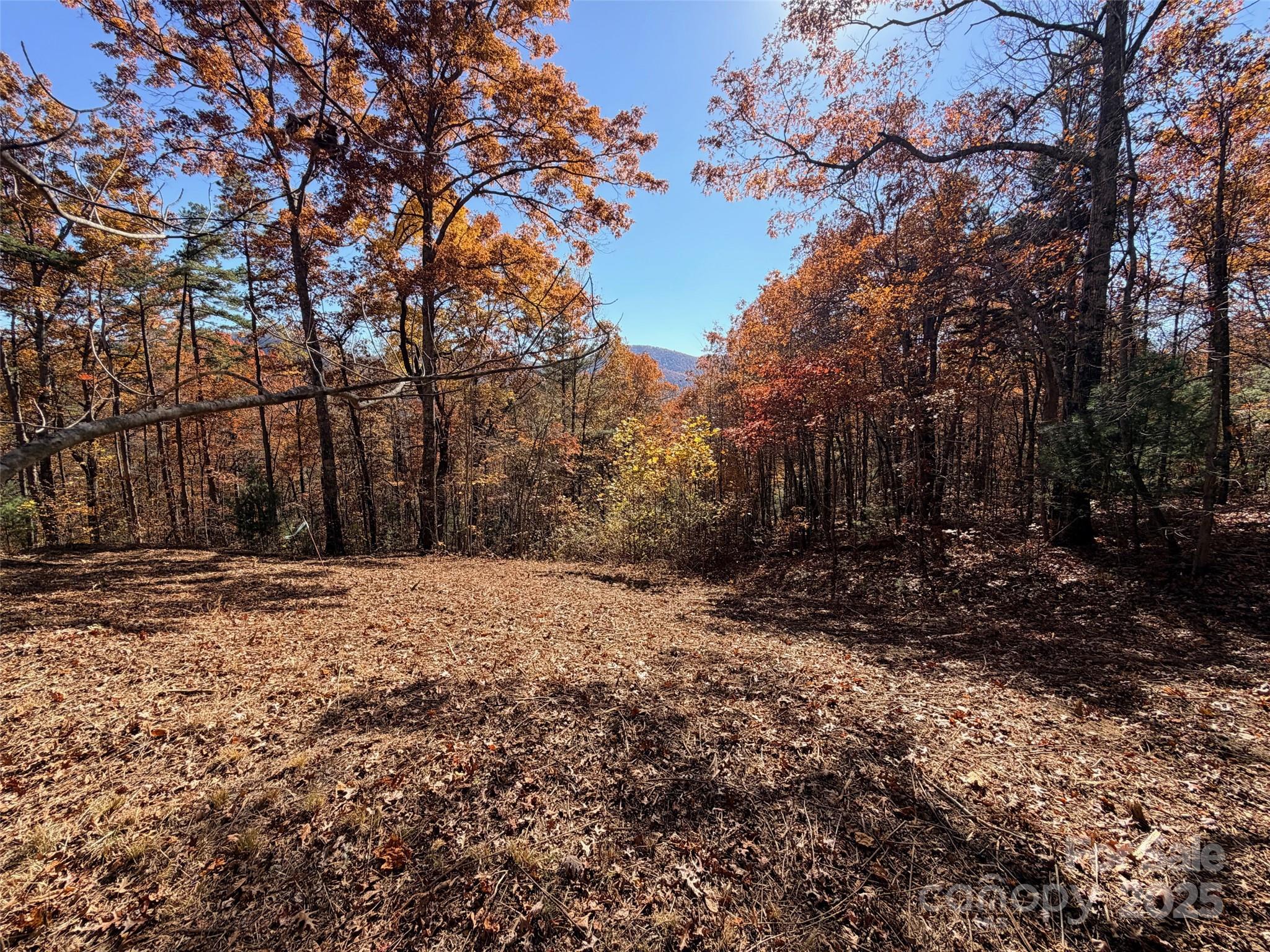 130 Brown Bear Ridge Trail