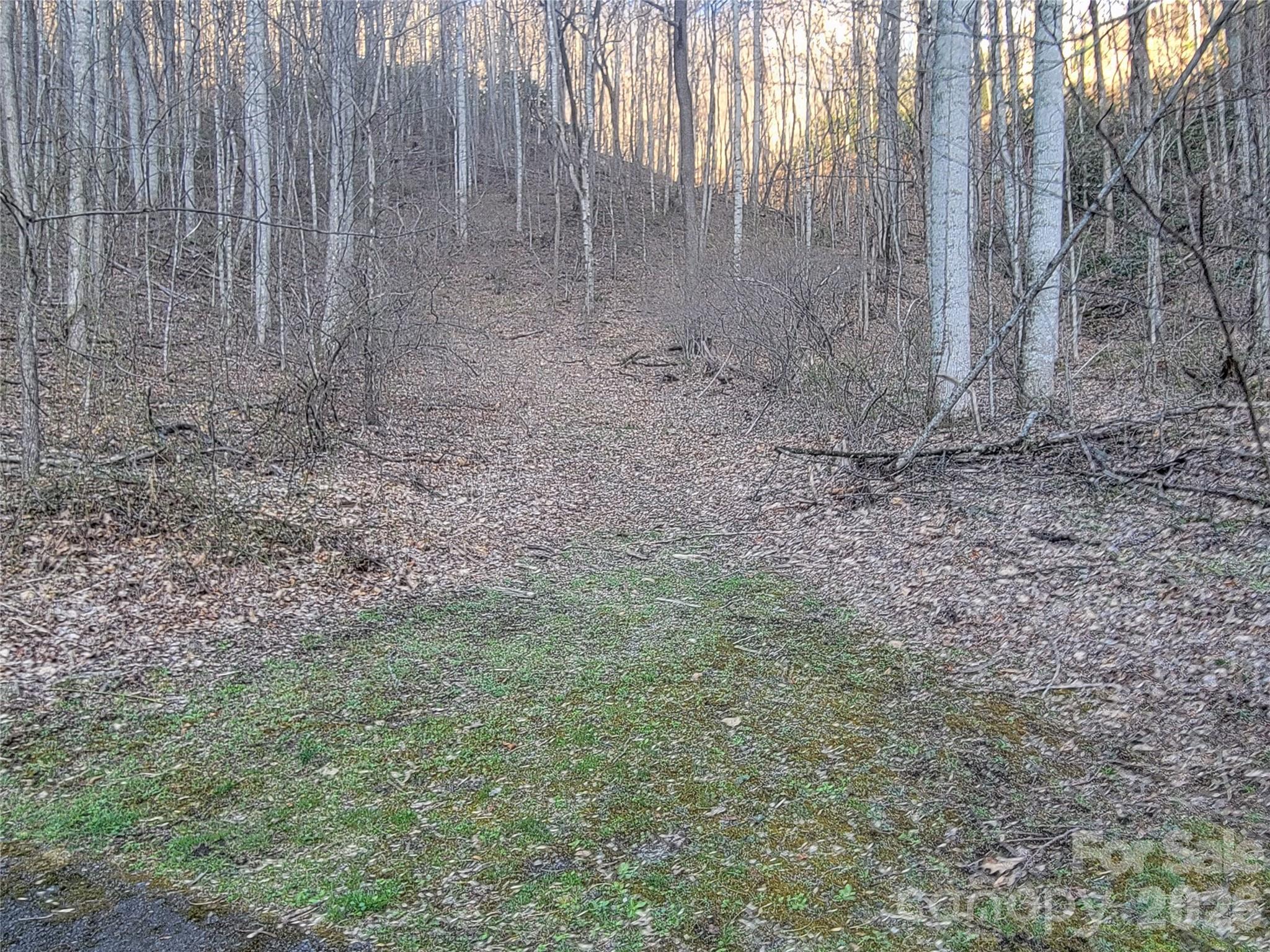 The Cove at Maggie Valley - Land