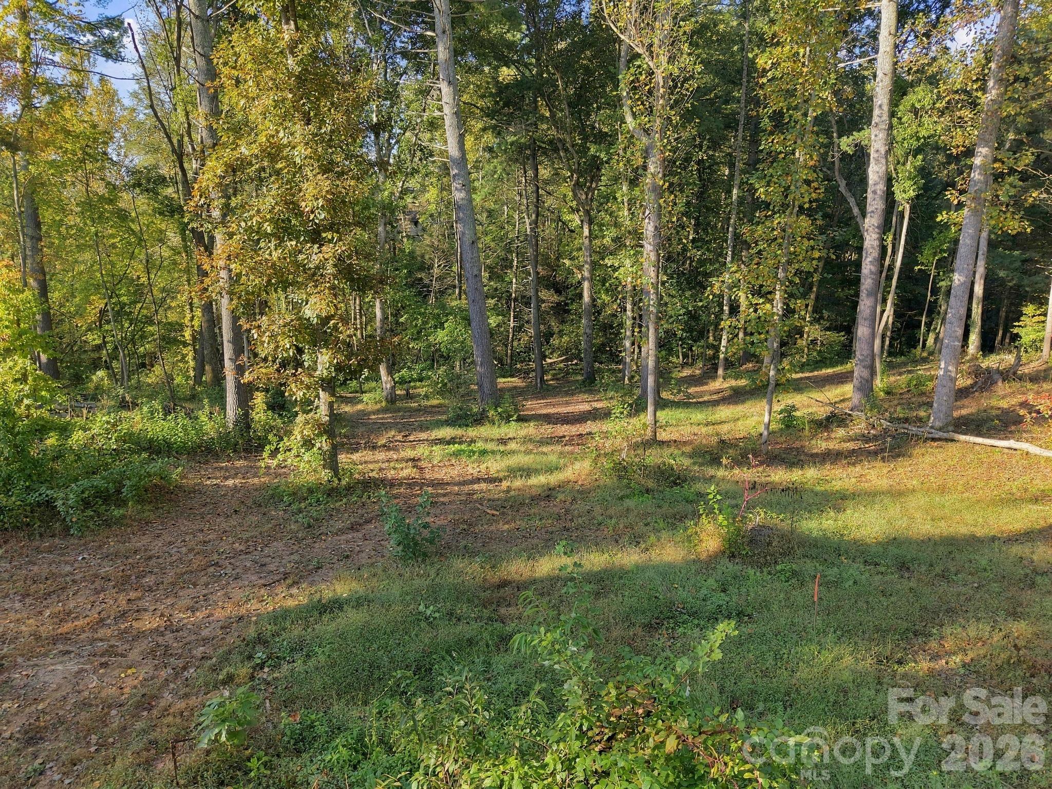 99999 Cane Creek Road