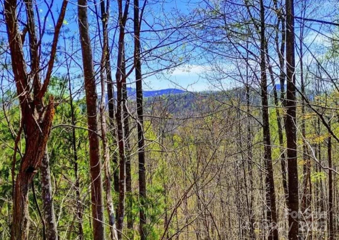 Yellowtop Mountain Estates - Land