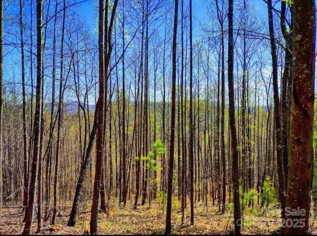 Yellowtop Mountain Estates - Land