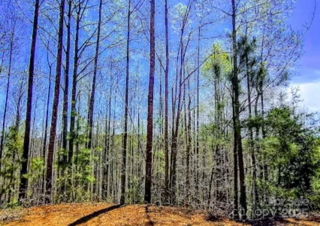 Yellowtop Mountain Estates - Land