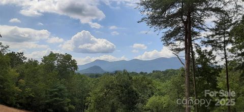 000 Levi Road Columbus NC 28722