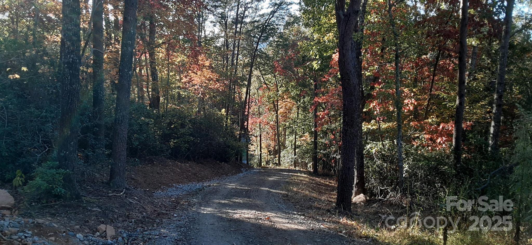 000 Levi Road