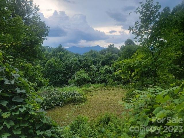 Smoky Mountain Sanctuary - Land