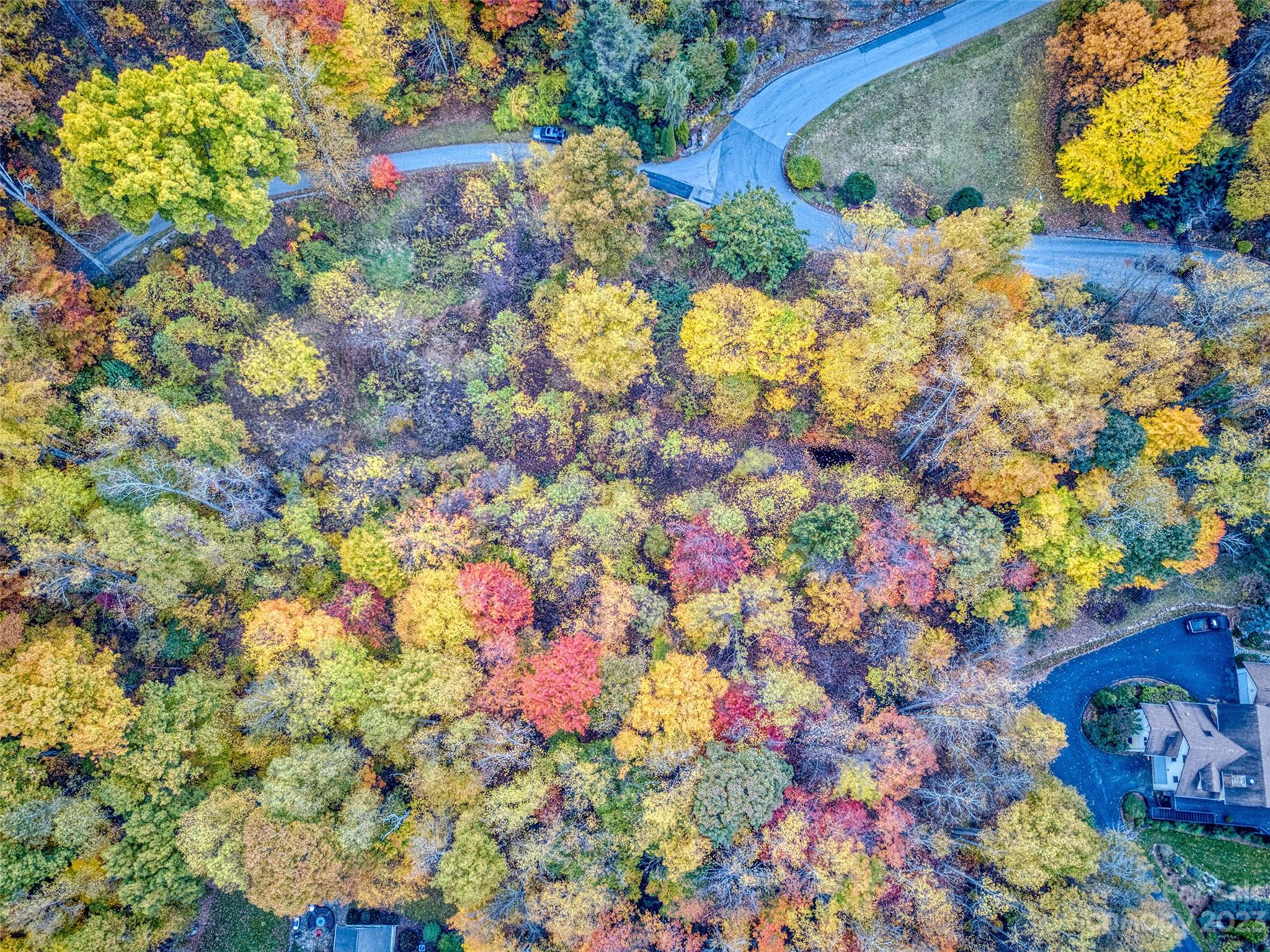 Smoky Mountain Sanctuary - Land