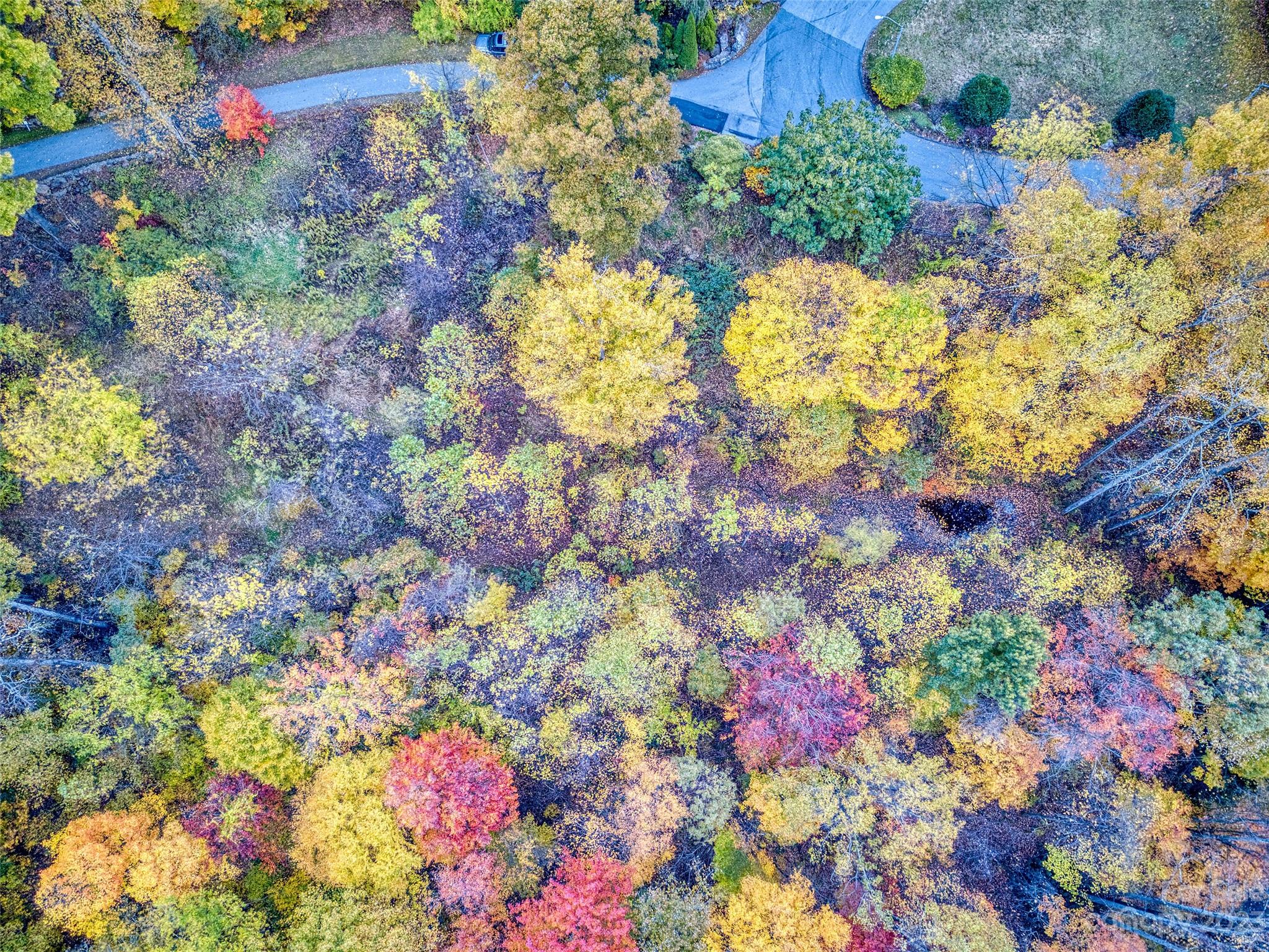 Smoky Mountain Sanctuary - Land