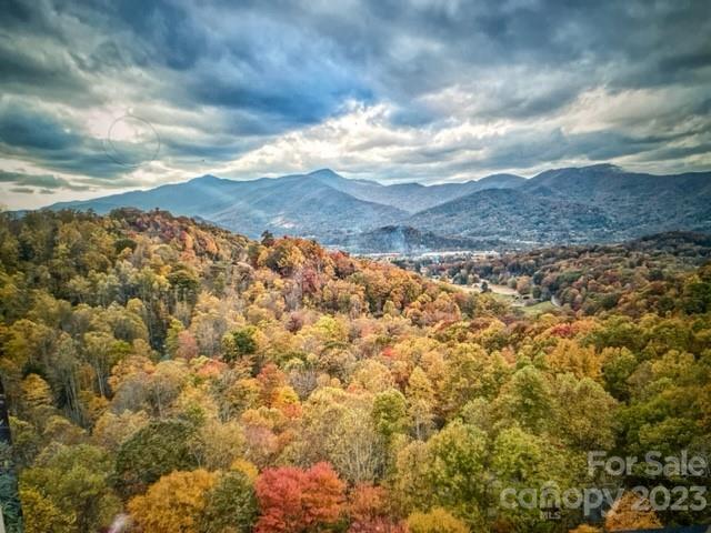 Smoky Mountain Sanctuary - Land