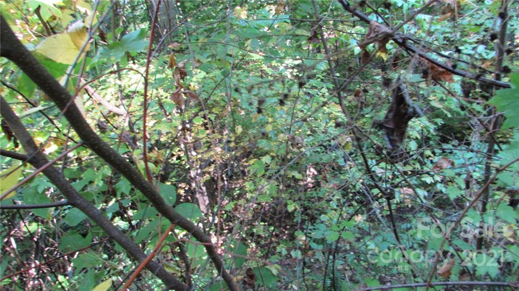 E- 19 Red Wolf Run None