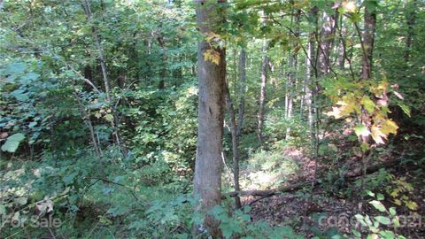 E- 19 Red Wolf Run None Mars Hill NC 28754