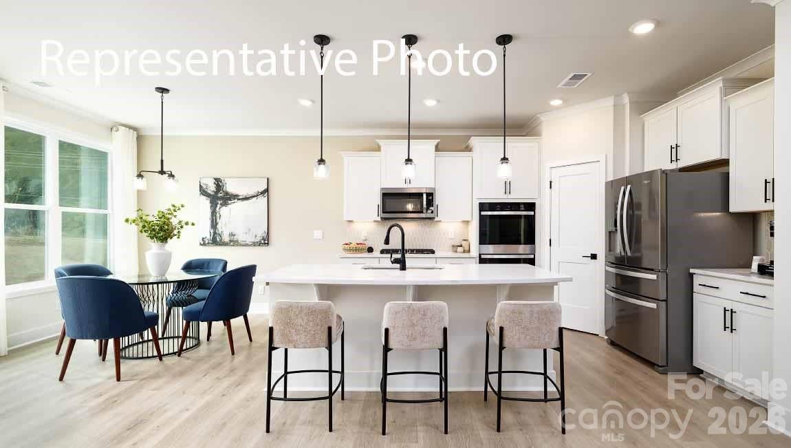 1035 Tundra Swan Drive