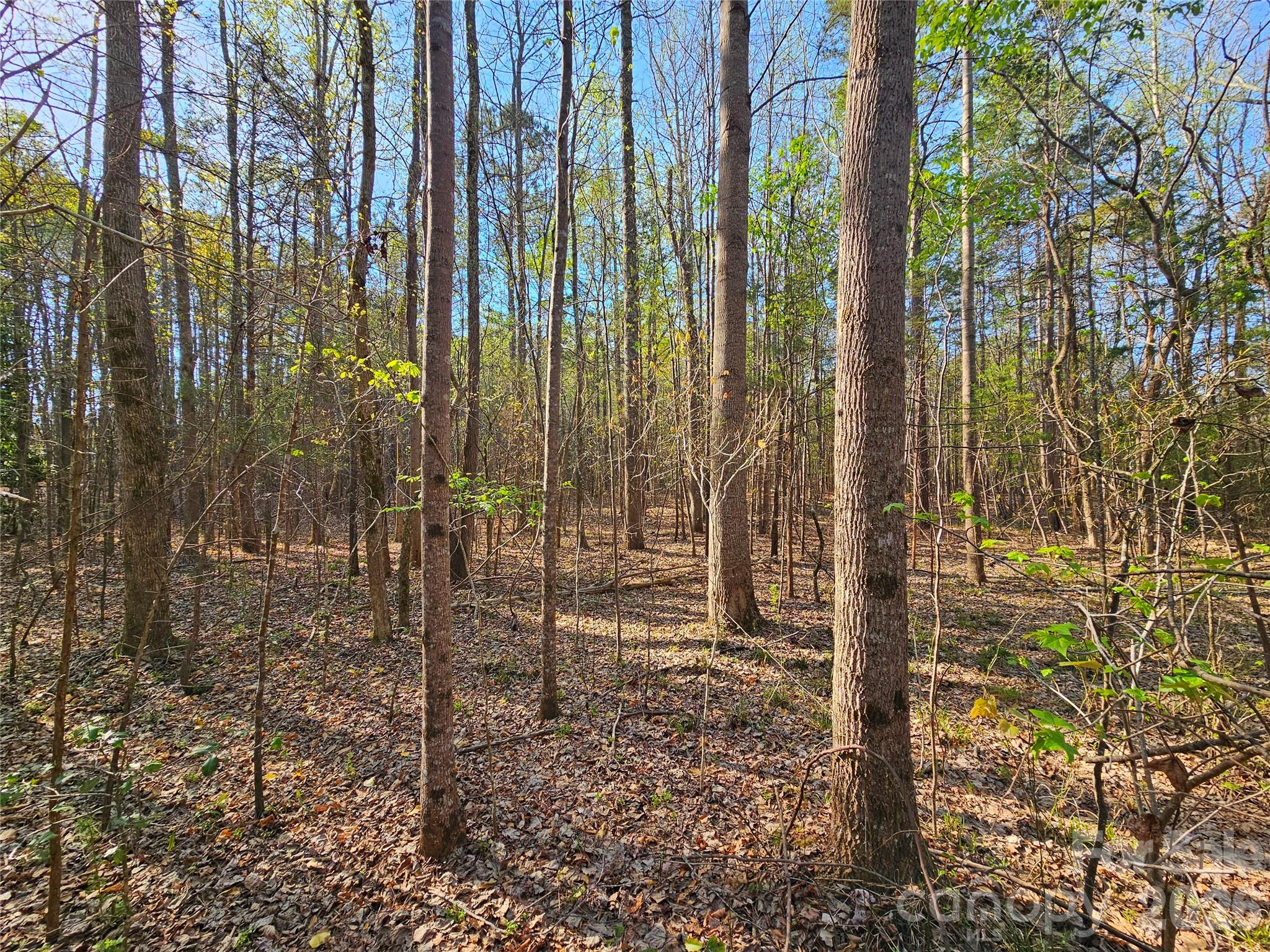 Lot 10 Elliott Road, Richburg, SC, 29729