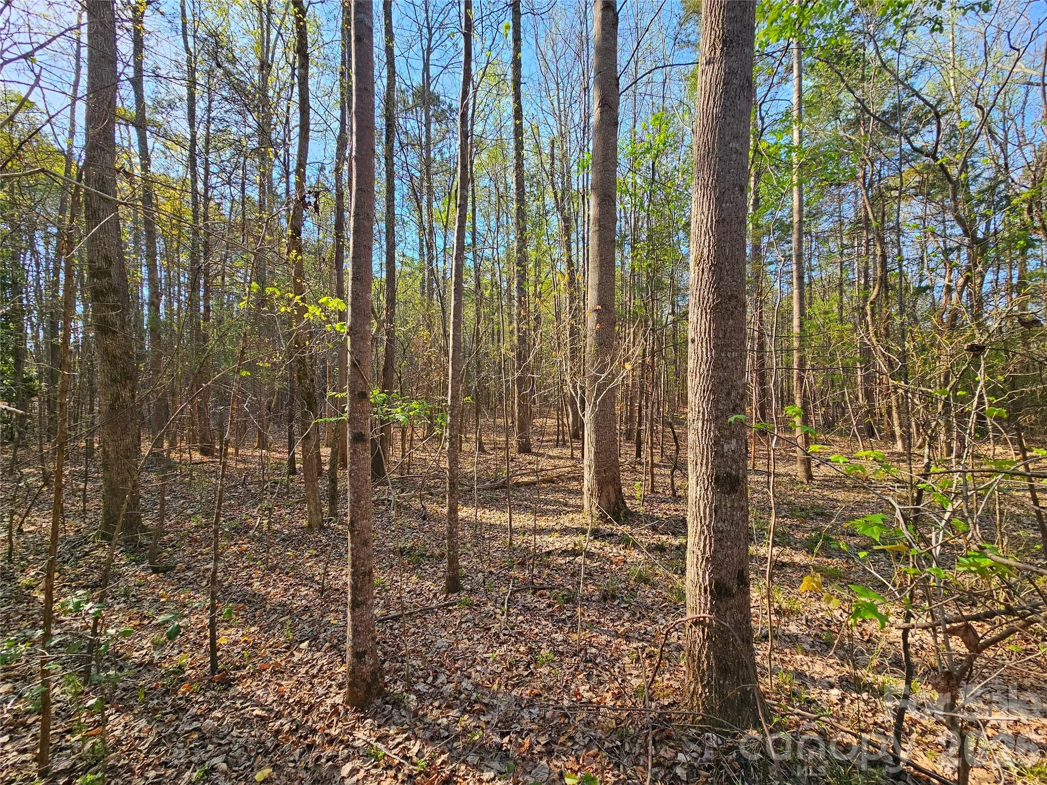 Lot 10 Elliott Road, Richburg, SC, 29729