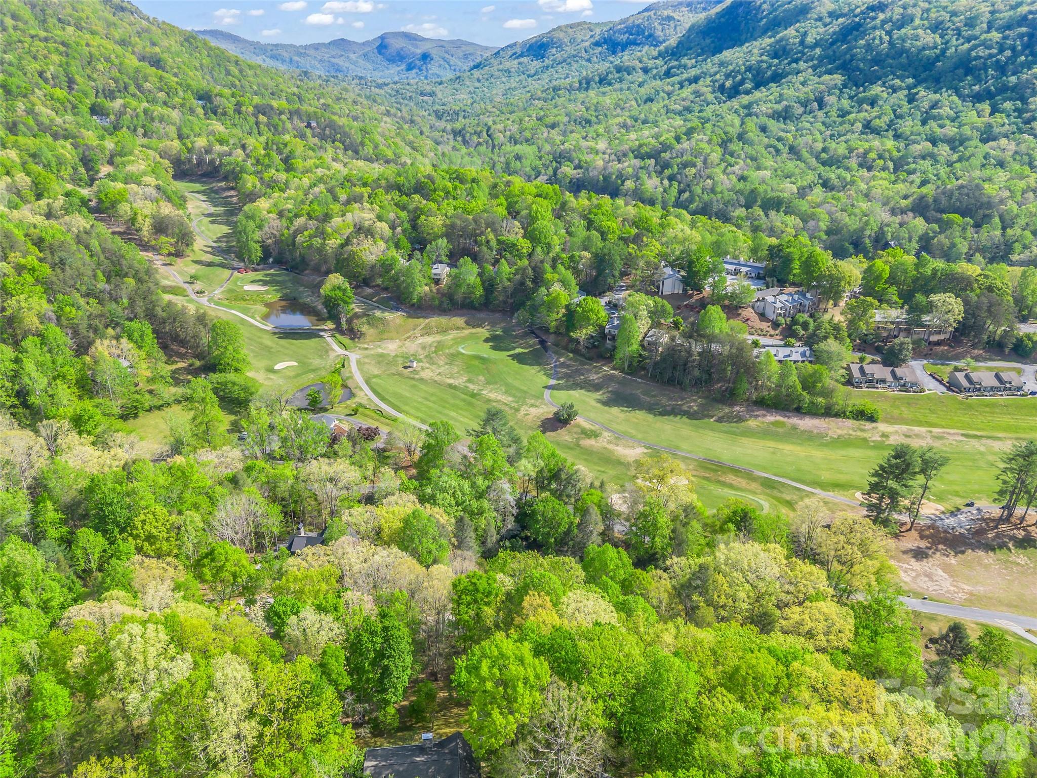 Rumbling Bald on Lake Lure - Residential
