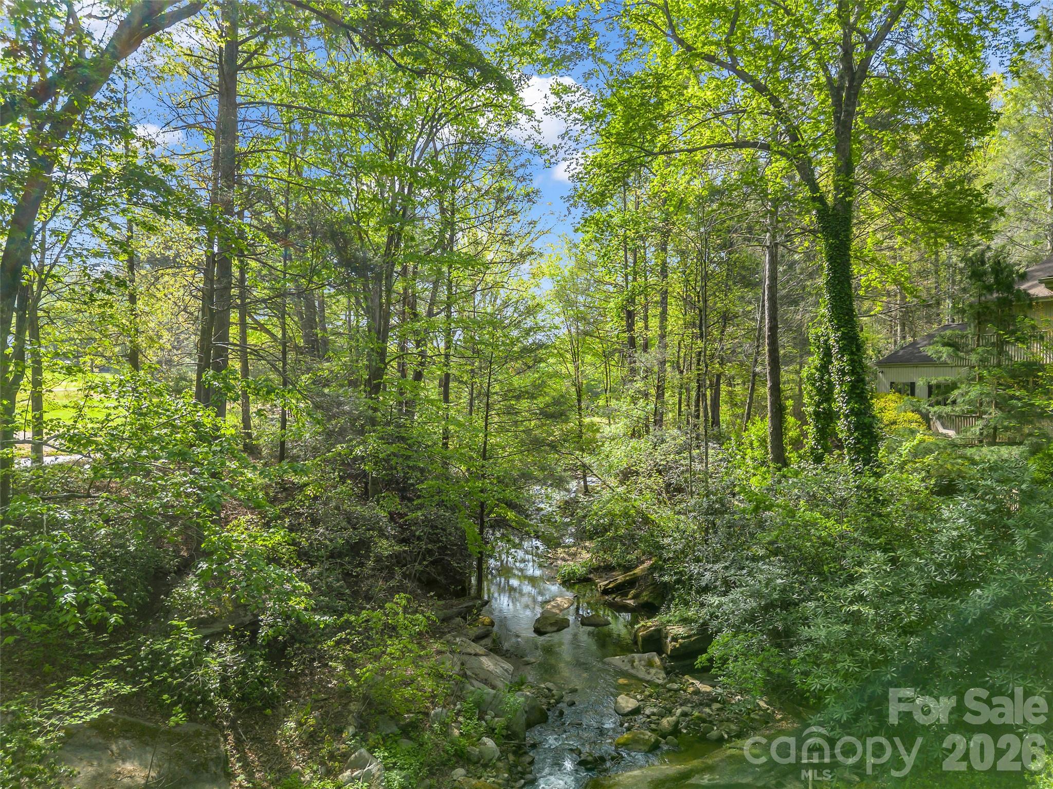 Rumbling Bald on Lake Lure - Residential