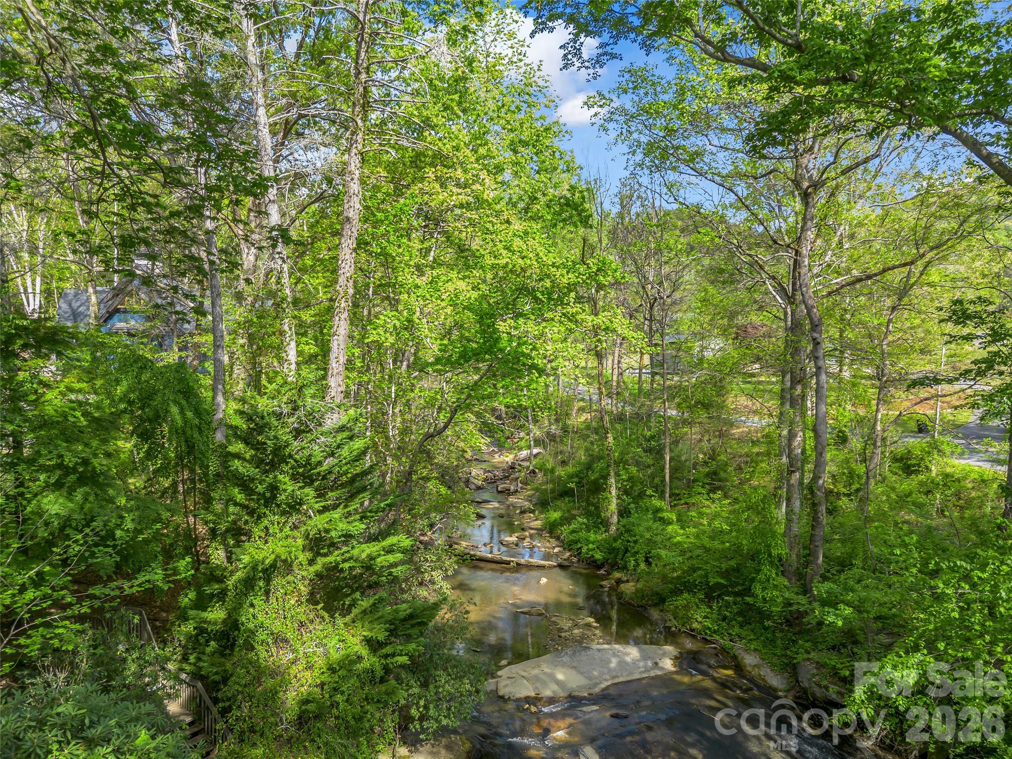 Rumbling Bald on Lake Lure - Residential