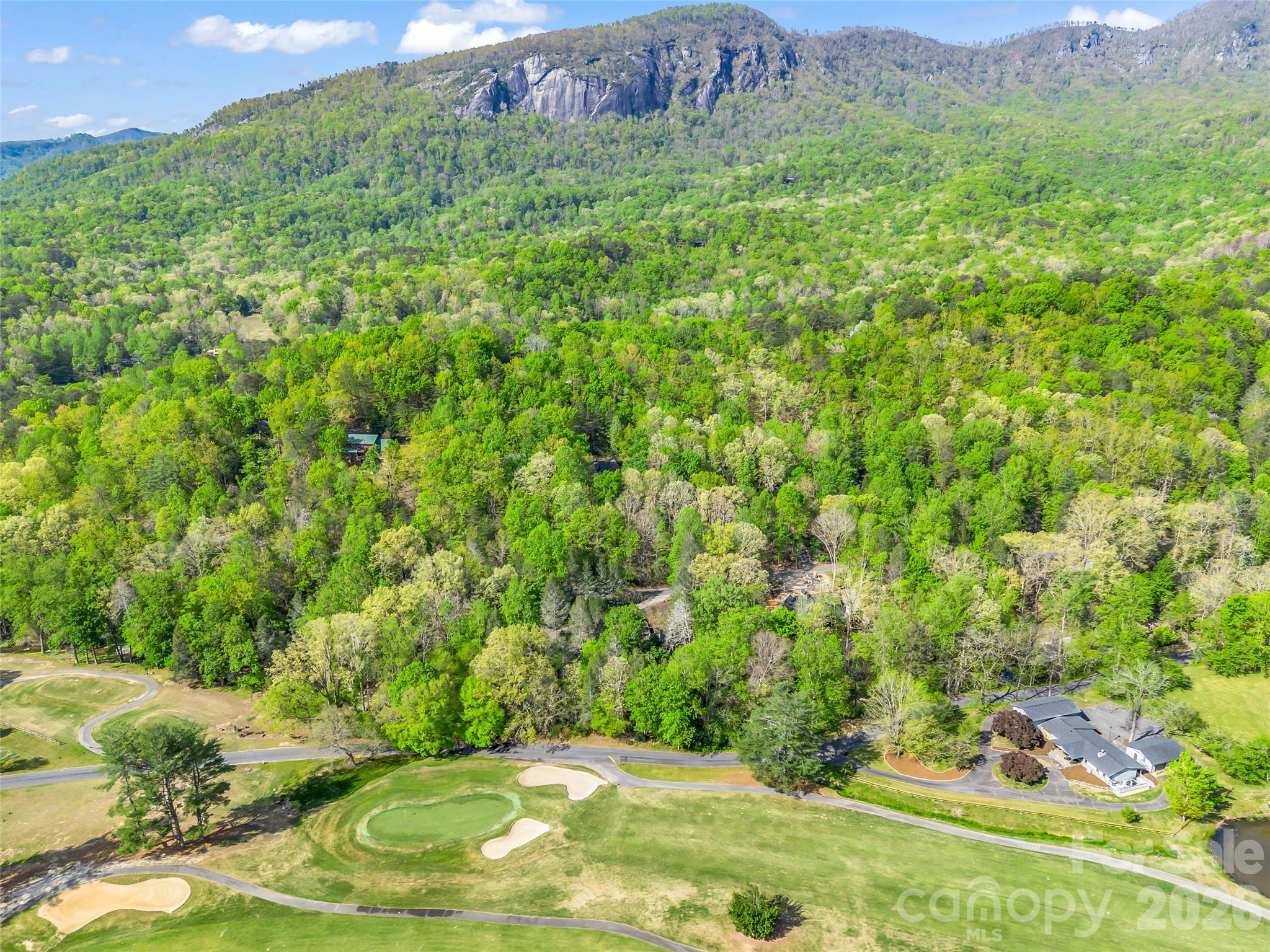 Rumbling Bald on Lake Lure - Residential