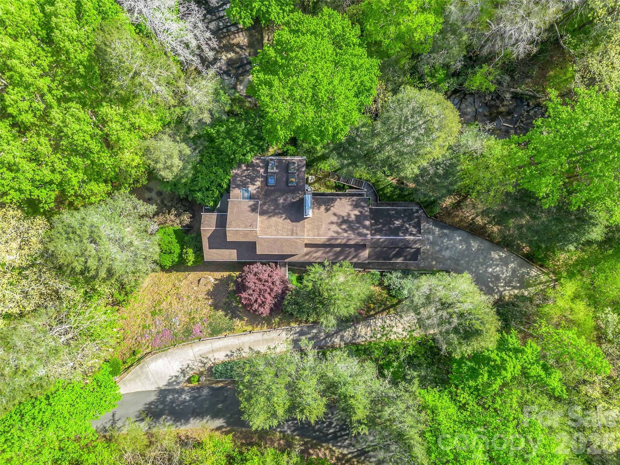 Rumbling Bald on Lake Lure - Residential