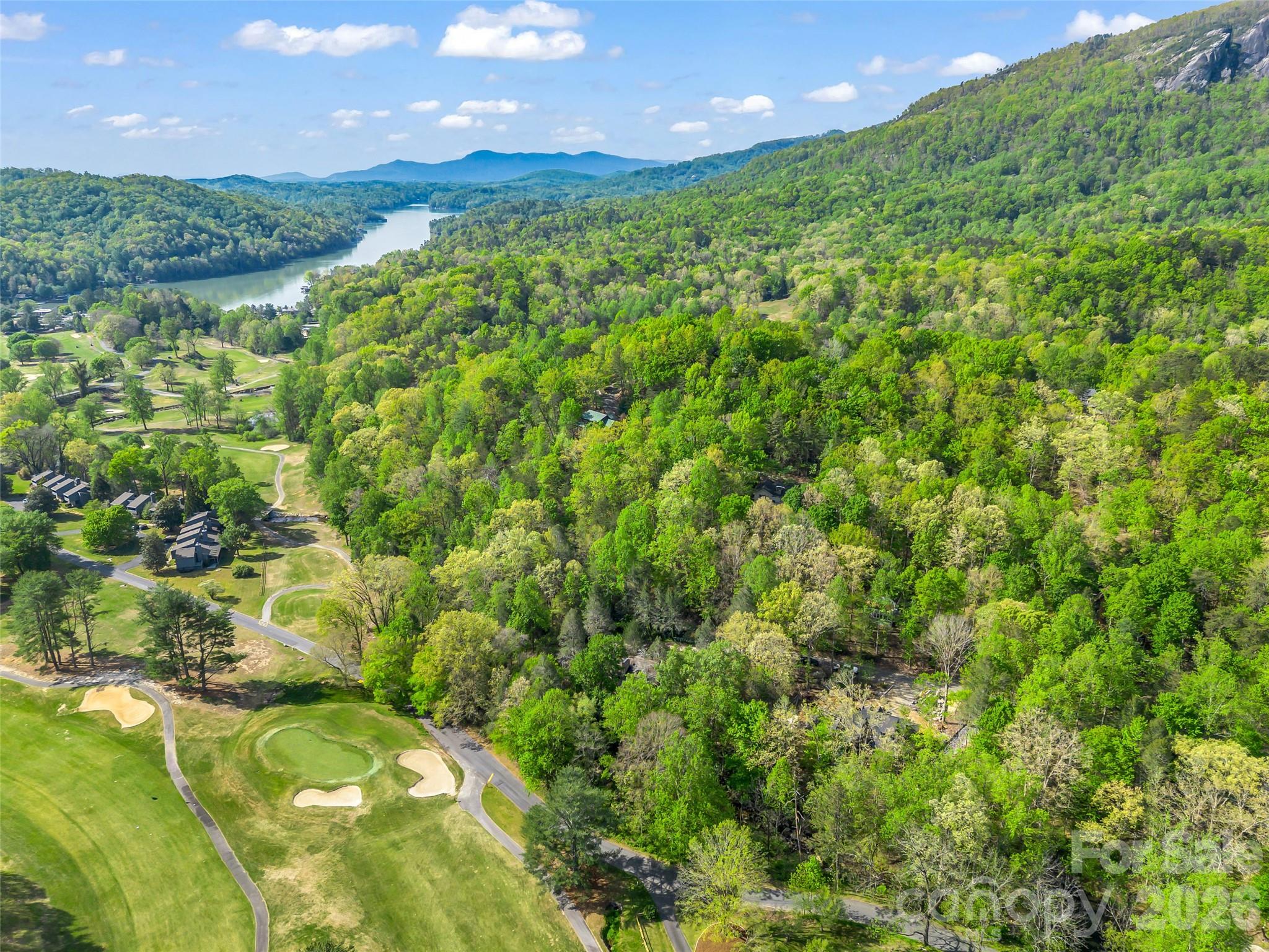 Rumbling Bald on Lake Lure - Residential
